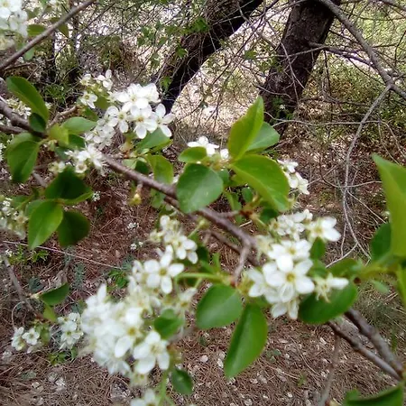 Casa Pili Casa vacanze Los Cerezos