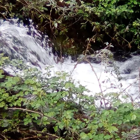 Casa Pili Casa vacanze *